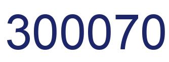 Number 300070 blue image