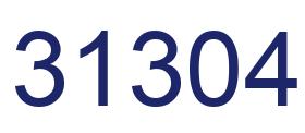 Number 31304 blue image
