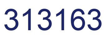 Number 313163 blue image