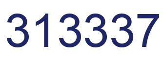 Number 313337 blue image
