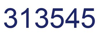 Number 313545 blue image