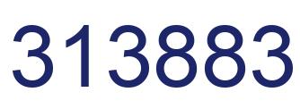 Number 313883 blue image