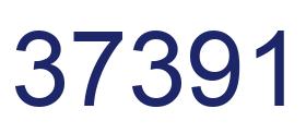 Number 37391 blue image
