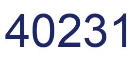 Number 40231 blue image
