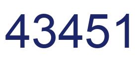 Number 43451 blue image