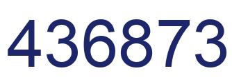 Number 436873 blue image