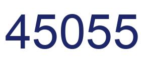 Number 45055 blue image