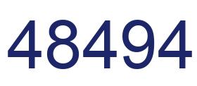 Number 48494 blue image