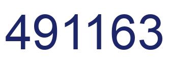 Number 491163 blue image
