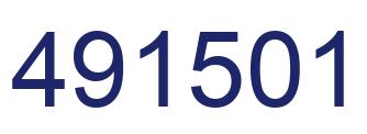 Number 491501 blue image