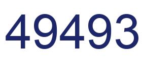 Number 49493 blue image