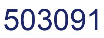 Number 503091 blue image