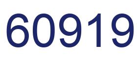 Number 60919 blue image
