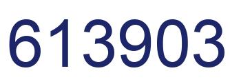 Number 613903 blue image