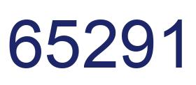 Number 65291 blue image