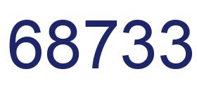 Number 68733 blue image