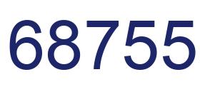 Number 68755 blue image