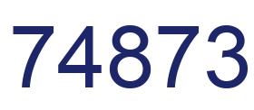 Number 74873 blue image