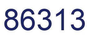 Number 86313 blue image