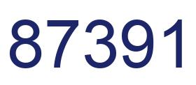 Number 87391 blue image