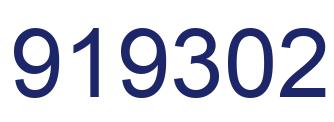 Number 919302 blue image