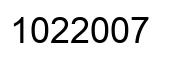 Number 1022007 black image