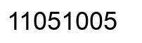 Number 11051005 black image