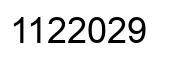 Number 1122029 black image