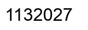 Number 1132027 black image