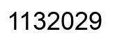 Number 1132029 black image