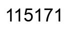 Number 115171 black image
