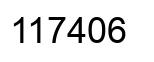 Number 117406 black image