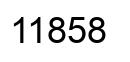Number 11858 black image