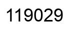 Number 119029 black image