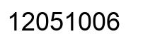 Number 12051006 black image