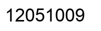 Number 12051009 black image