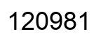 Número 120981 imagen negro