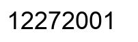 Number 12272001 black image