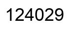 Number 124029 black image