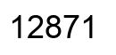 Number 12871 black image