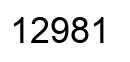 Number 12981 black image