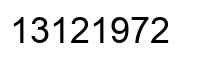 Number 13121972 black image