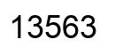 Number 13563 black image