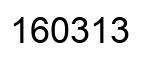 Number 160313 black image