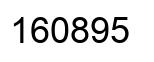 Número 160895 imagen negro