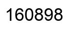 Number 160898 black image