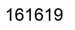 Number 161619 black image