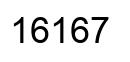 Number 16167 black image