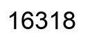 Number 16318 black image