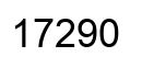 Number 17290 black image
